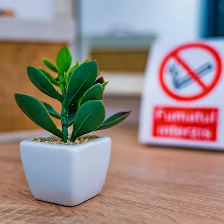 Casa In Culori 3* فاما فيكي