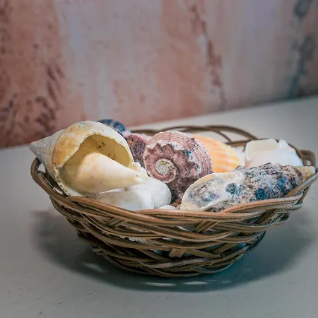 Casa In Culori بيت ضيافة 3*